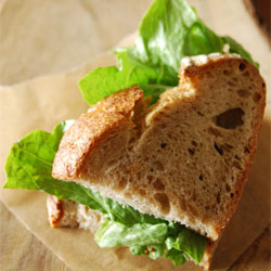 レタスのゴマ味噌サンドイッチ