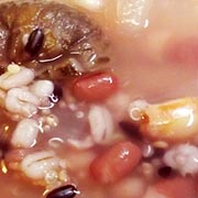 雑穀巡り 夏のデトックススープ